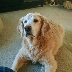 Meet your Posher, Sharyn